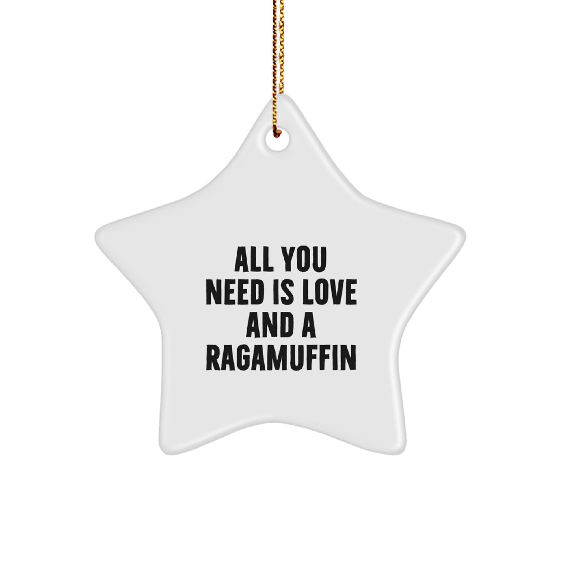 Ragamuffin Cat Lovers Gifts from Family, Star Ornament Christmas Unique Gifts for Men, Women, and Friends, 'All You Need Is Love And A Ragamuffin' Quote - Image 1