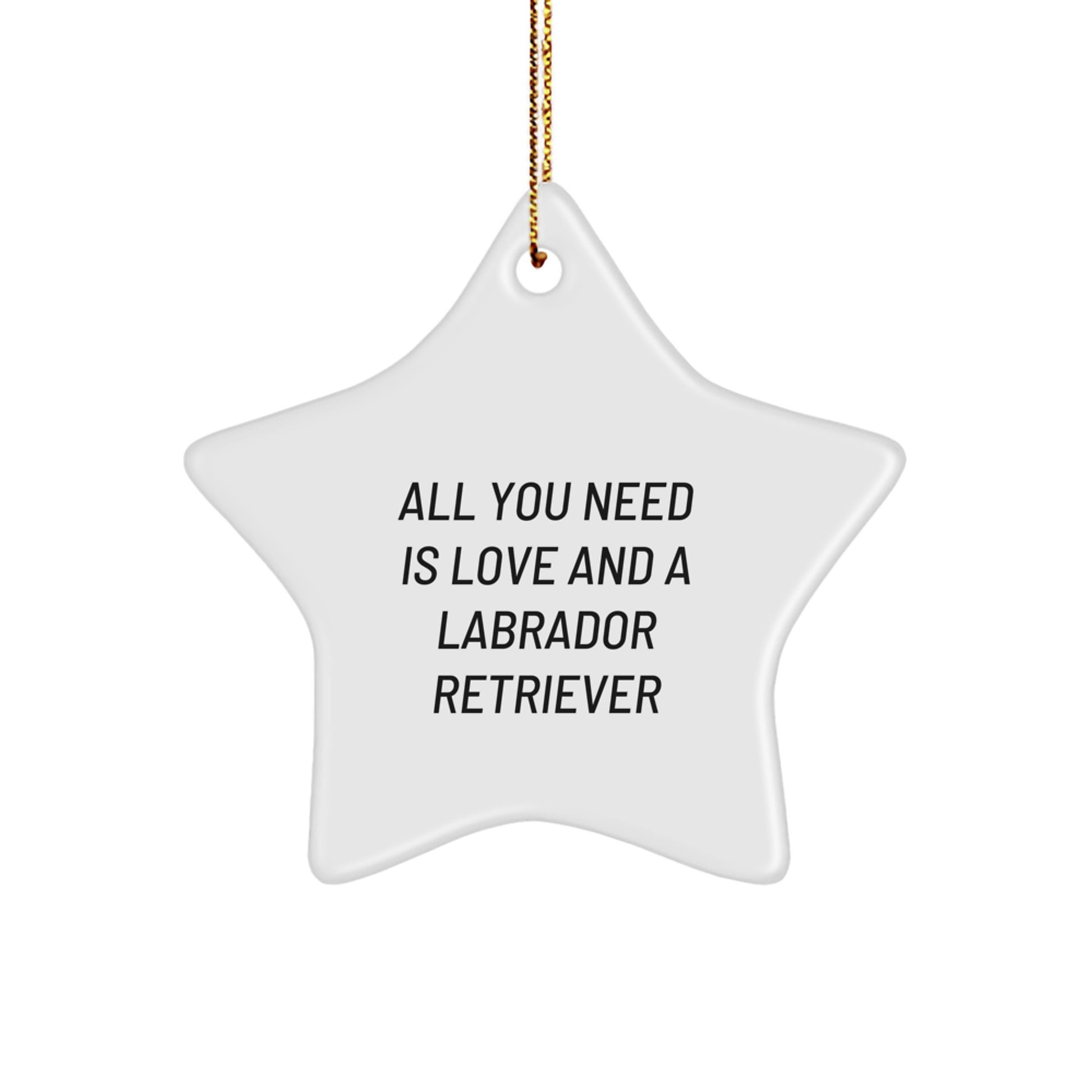 Labrador Retriever Dog Star Ornament Gifts from Friends, Family, or Coworkers for Christmas - 'All You Need Is Love And A Labrador Retriever' Quote, Funny and Inspirational - Image 1
