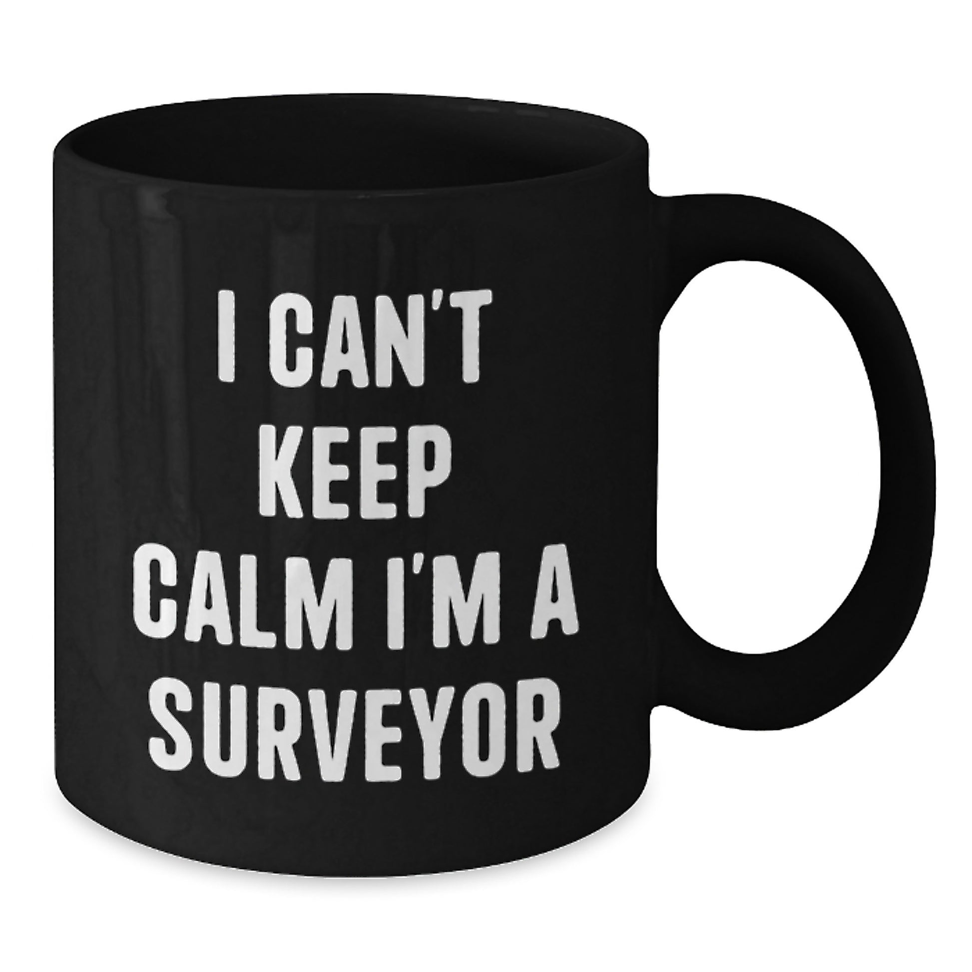 Funny Surveyor Gifts for Men, Best Black Coffee Mug I Can't Keep Calm I'm A Surveyor, Christmas Unique - Additional