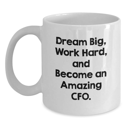 Funny Inspirational CFO Gifts from Friends Christmas Unique Gifts for CFO, White Coffee Mug, Dream Big Work Hard Quote - Main