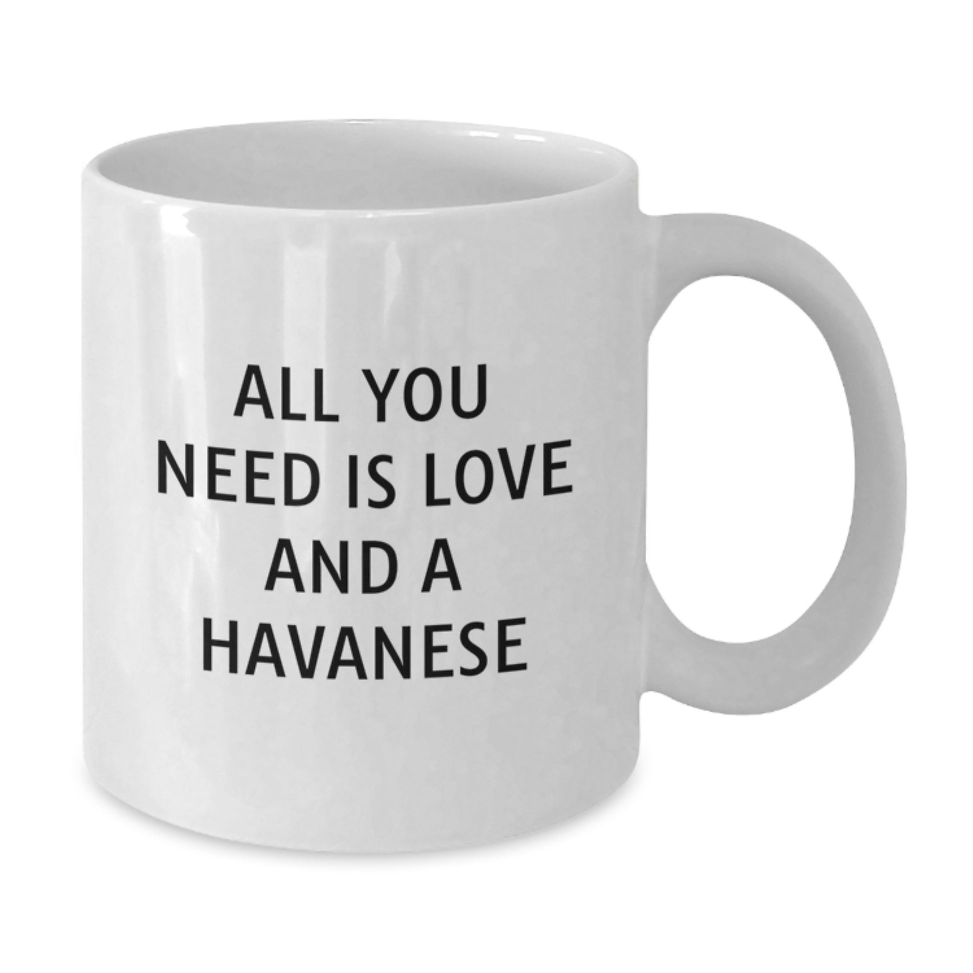 Funny Havanese Dog Lover Gifts from Family for Him, Her, or Friends - All You Need Is Love And A Havanese, White Coffee Mug, Graduation Unique Gifts - Additional