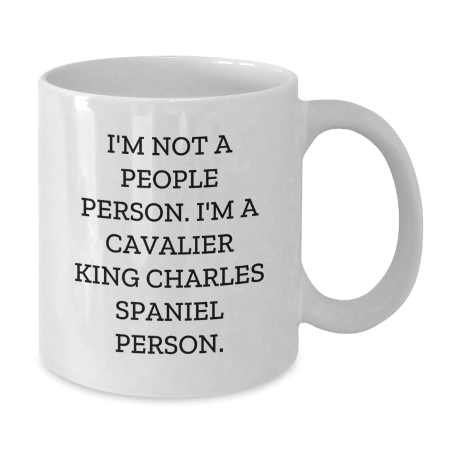 Cavalier King Charles Spaniel Dog Lovers Funny White Coffee Mug Gifts from Family Friends - Additional