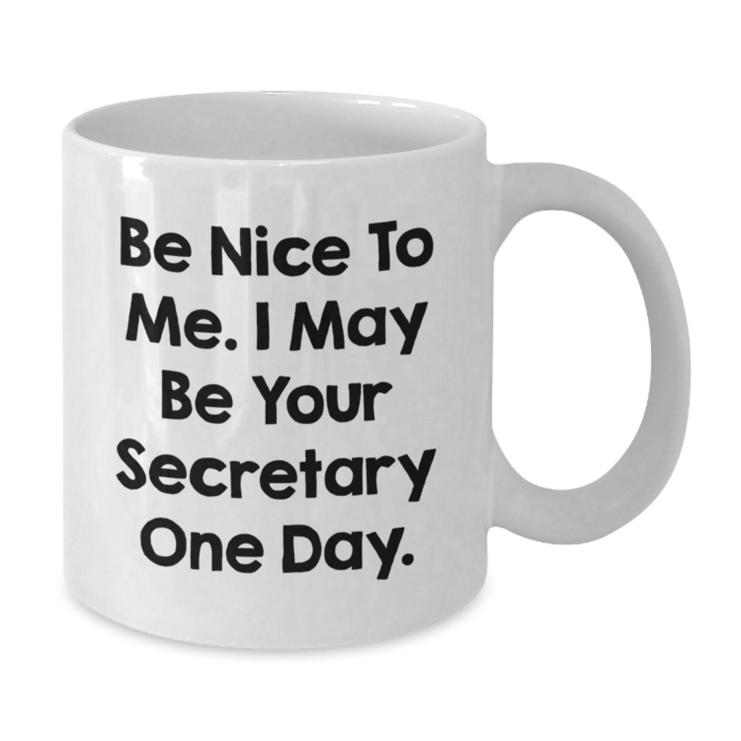 Funny Secretary Christmas Unique Gifts from Friends, White Coffee Mug for Secretary, Be Nice To Me - Additional