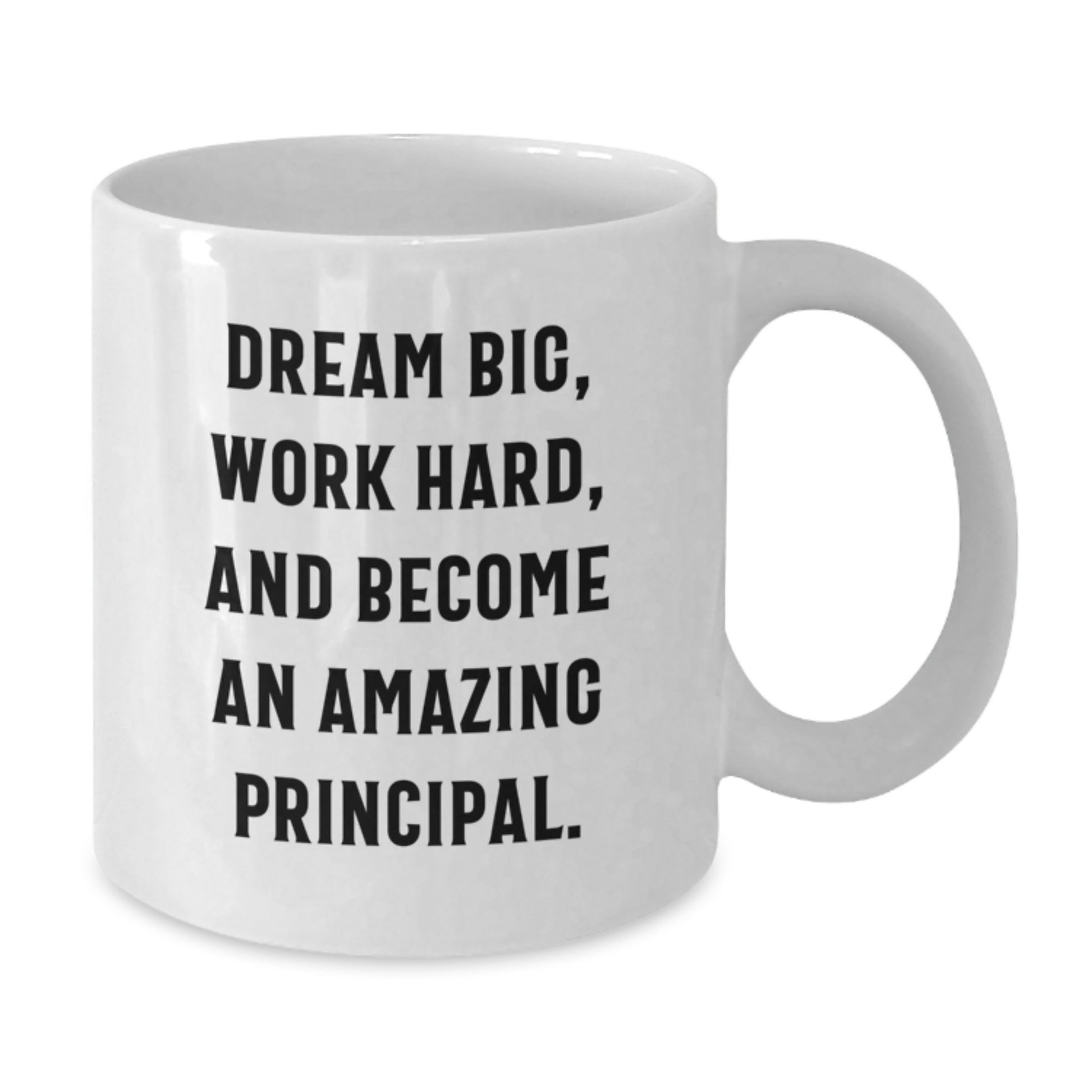 Funny Principal White Coffee Mug Gifts from Friends for Christmas Unique Principal Inspirational Quote - Additional