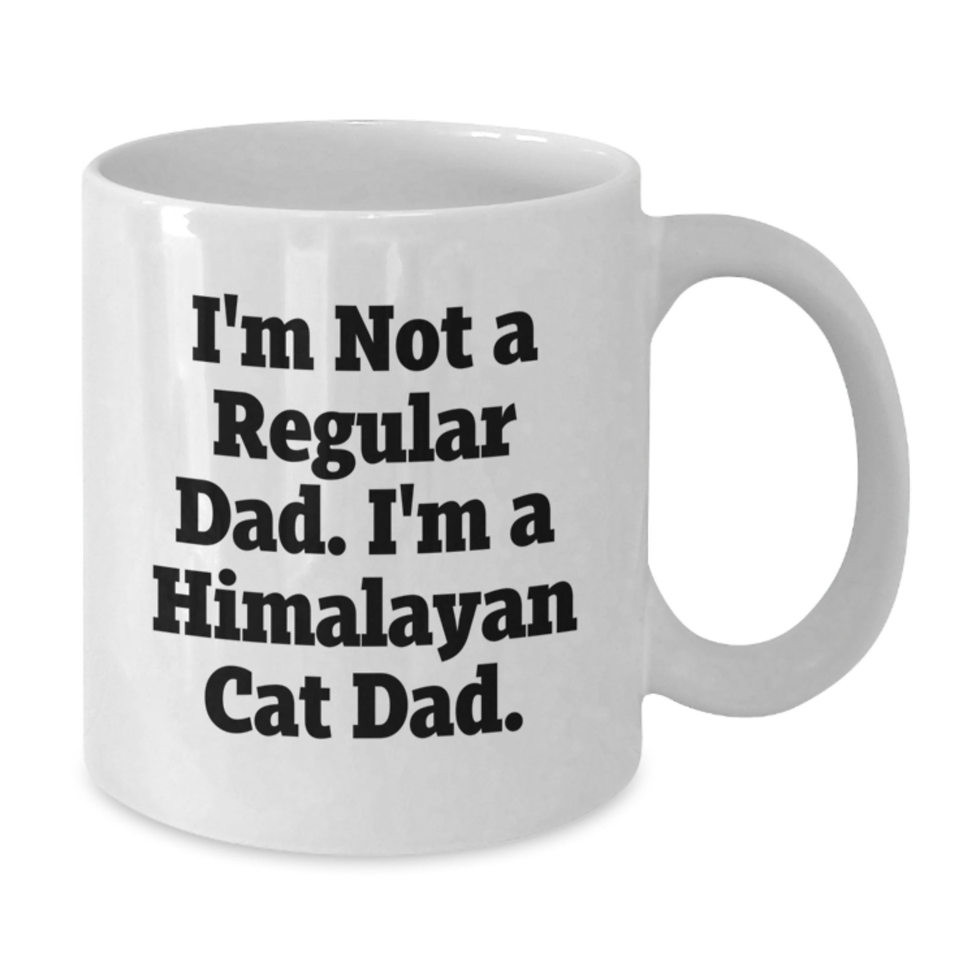 Himalayan Cat Gifts, Funny White Coffee Mug for Men, I'm Not A Regular Dad., Graduation Unique Gifts from Family - Additional