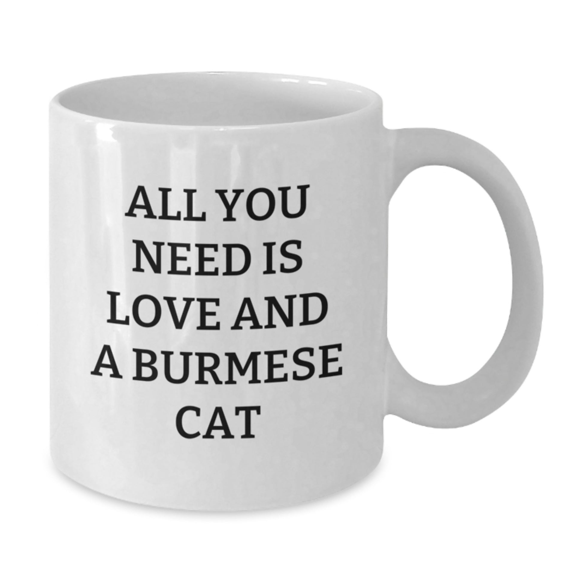 Burmese Cat Lovers Gifts from Friends for Christmas Unique White Coffee Mugs - All You Need Is Love And A Burmese Cat - Additional