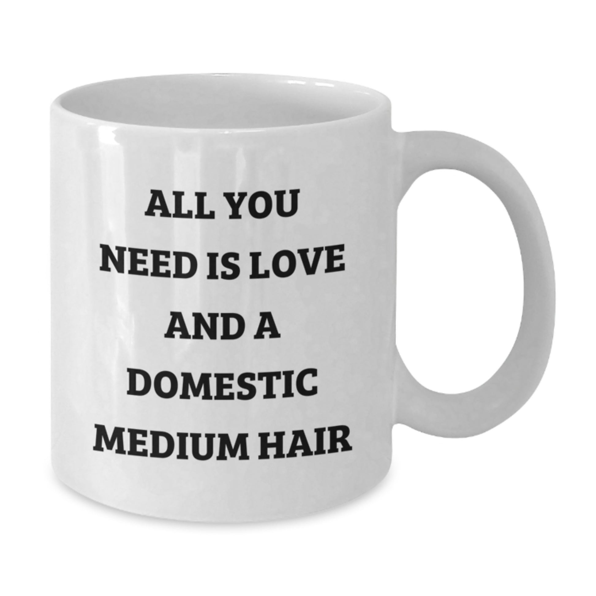 Domestic Medium Hair Lover's Funny Quote Gifts from Family for Christmas, White Coffee Mug - All You Need Is Love - Additional