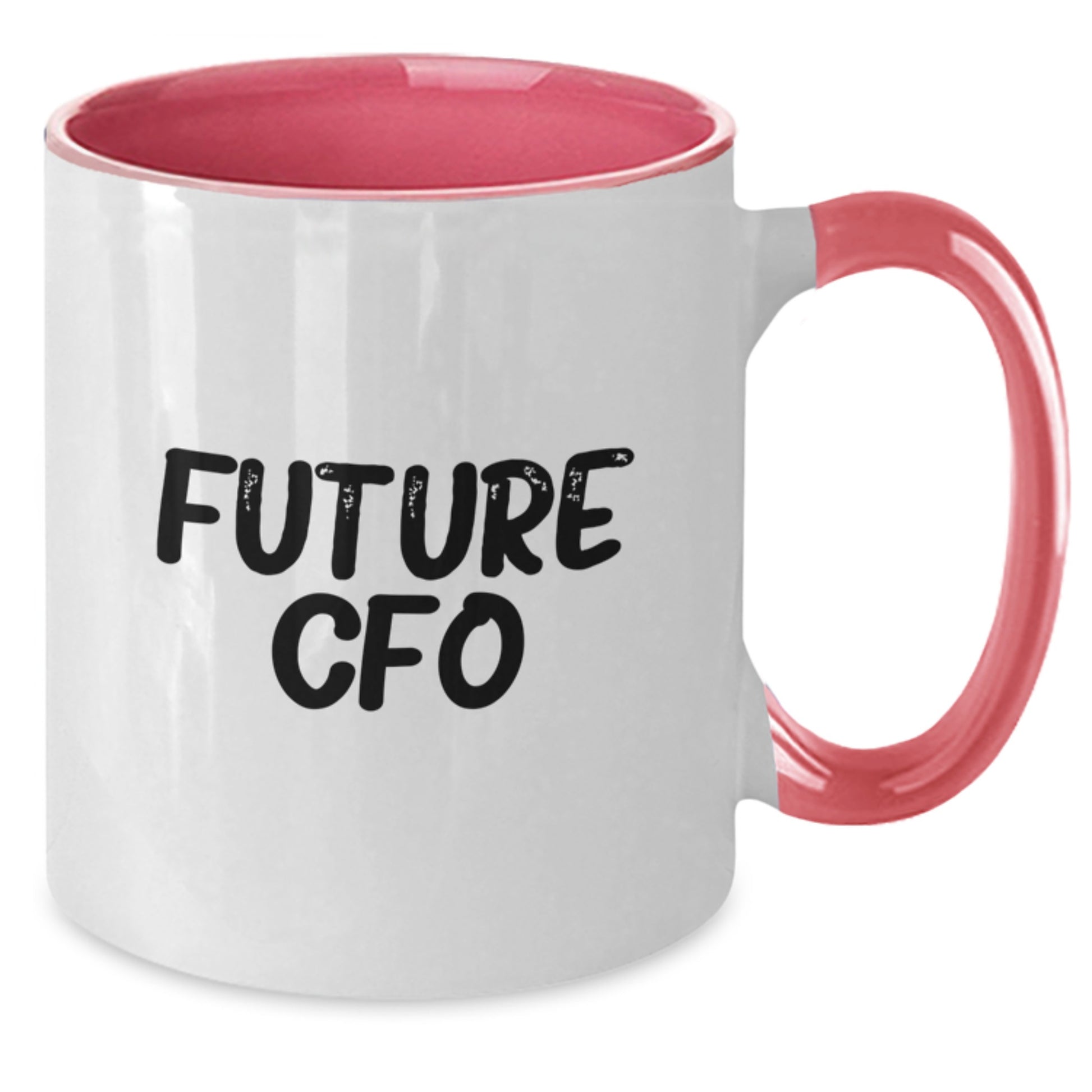 Funny Future CFO Coffee Mug Gifts for Men or Women from Coworkers, Inspirational Quotes for Graduation - Additional