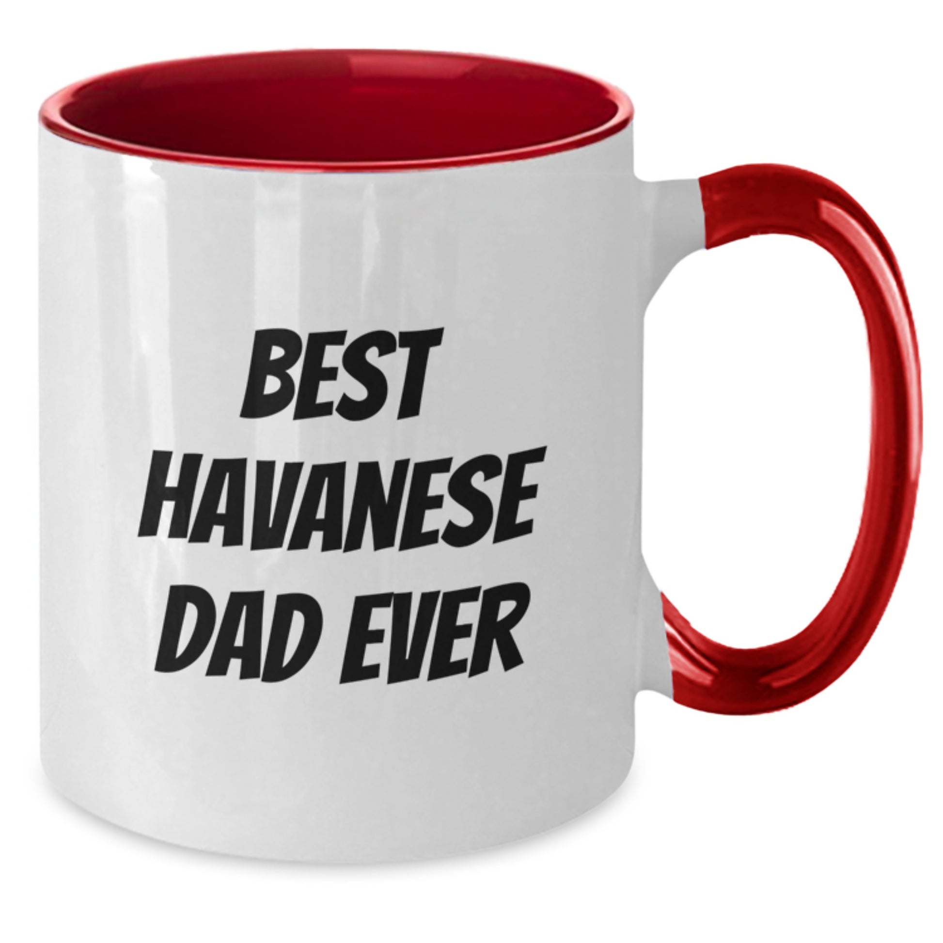 Havanese Dog Lovers Gifts, Funny Two Tone Coffee Mugs, Best Havanese Dad Ever, Birthday Unique Gifts from Men to Family and Friends - Additional