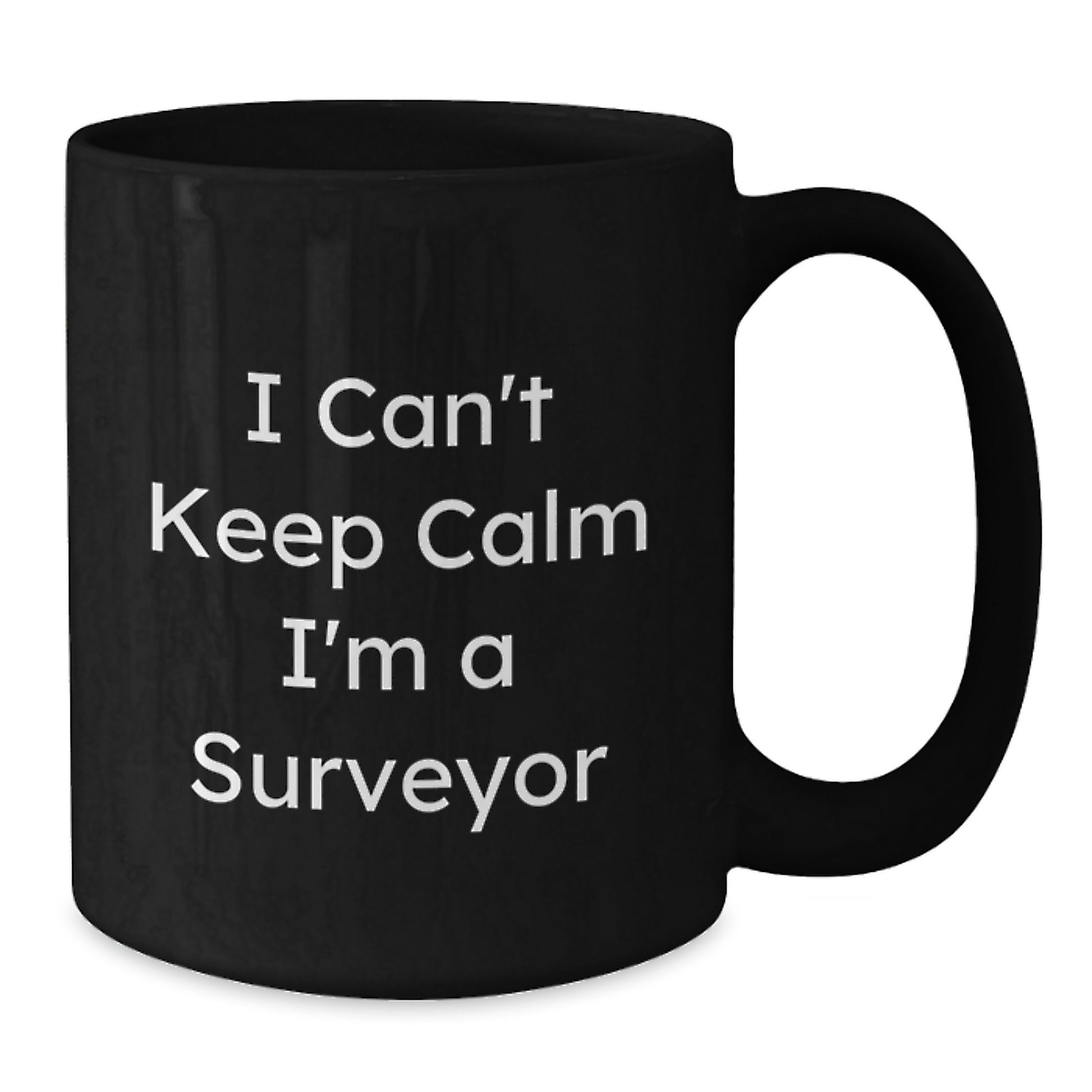Funny Surveyor Gifts from Friends, Black Coffee Mug for Surveyor, I Can't Keep Calm Mugs Christmas Unique Gifts for Men - Additional