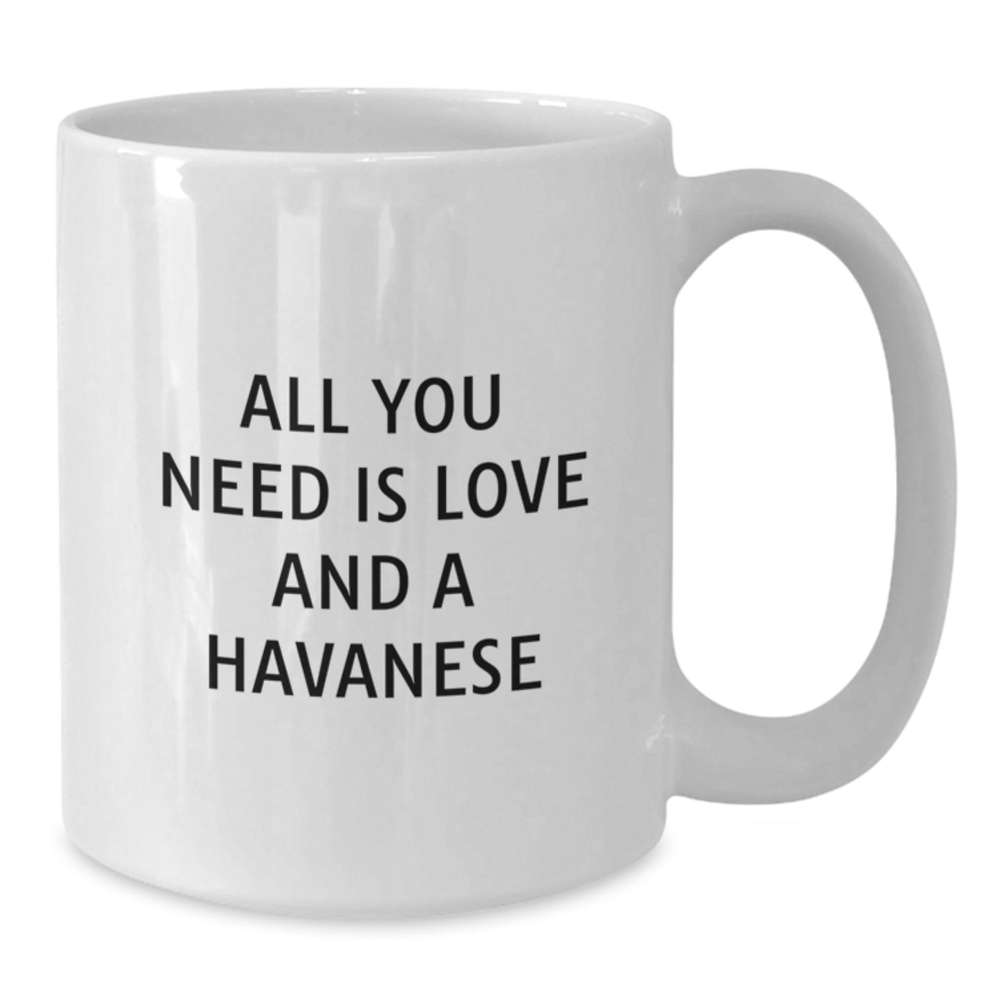 Funny Havanese Dog Lover Gifts from Family for Him, Her, or Friends - All You Need Is Love And A Havanese, White Coffee Mug, Graduation Unique Gifts - Additional