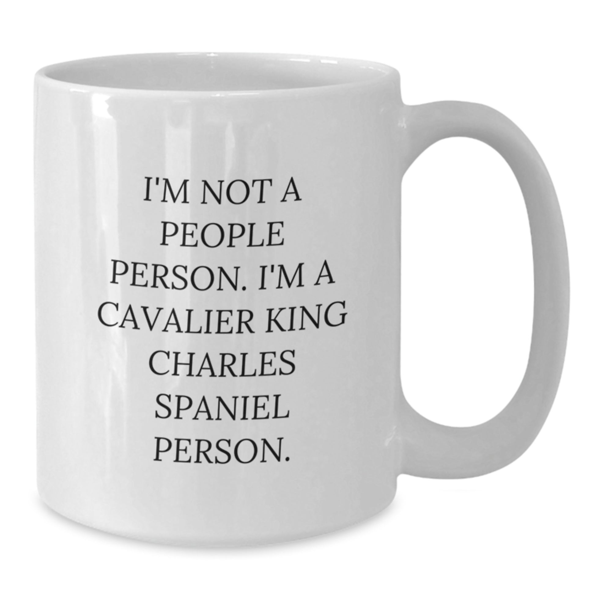 Cavalier King Charles Spaniel Dog Lover's Funny White Coffee Mug, Gifts from Friends, Unique Birthday Unique Gifts for Men, Women, Family - Additional