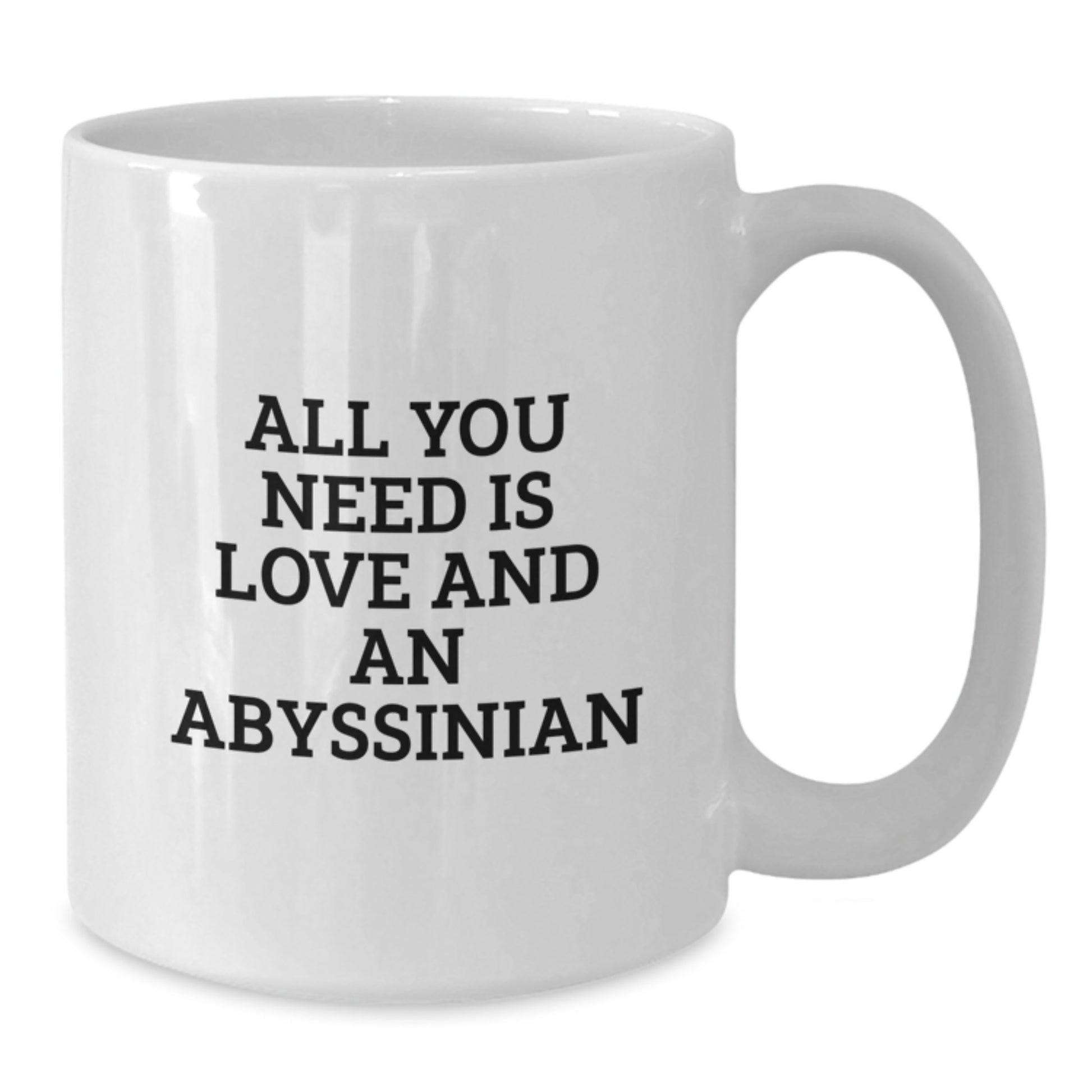 Abyssinian Cat Lovers Gifts, White Coffee Mug, Christmas Unique Presents, Gifts from Friends and Family, All You Need Is Love And An Abyssinian - Additional