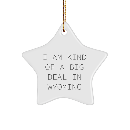 Wyoming Star Ornament, I Am Kind Of A Prime Selection In Wyoming Funny Quote, Gifts from Friends for Wyoming Lovers - Image 1