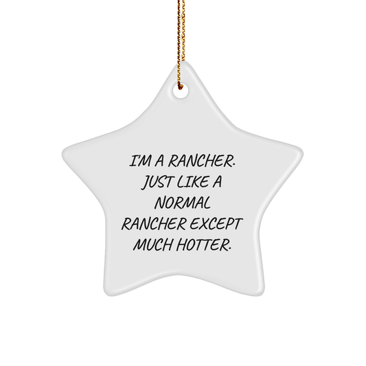 Funny Rancher Gifts from Friends for Men - Star Ornament 'I'm A Rancher. Just Like A Normal Rancher Except Much Hotter.' Christmas Unique Gifts - Image 1
