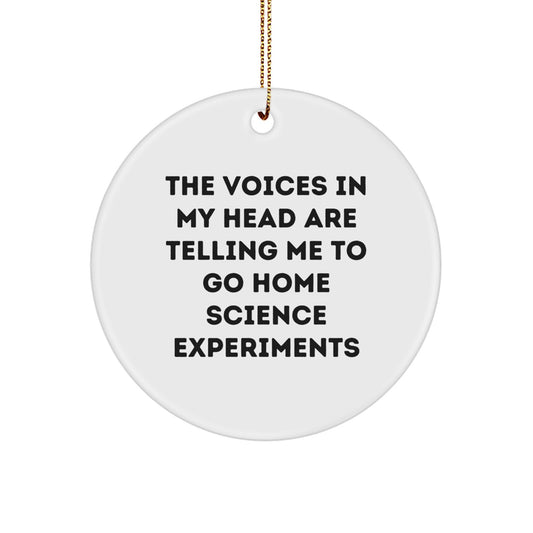 Funny Home Science Experiments Gifts from Friends for Women, The Voices In My Head Are Telling Me To Go Home Science Experiments Circle Ornament, Christmas Unique Decorations - Image 1