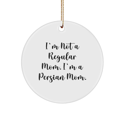 Funny Persian Cat Circle Ornament Gifts from Mom for Christmas Unique Persians - Image 1