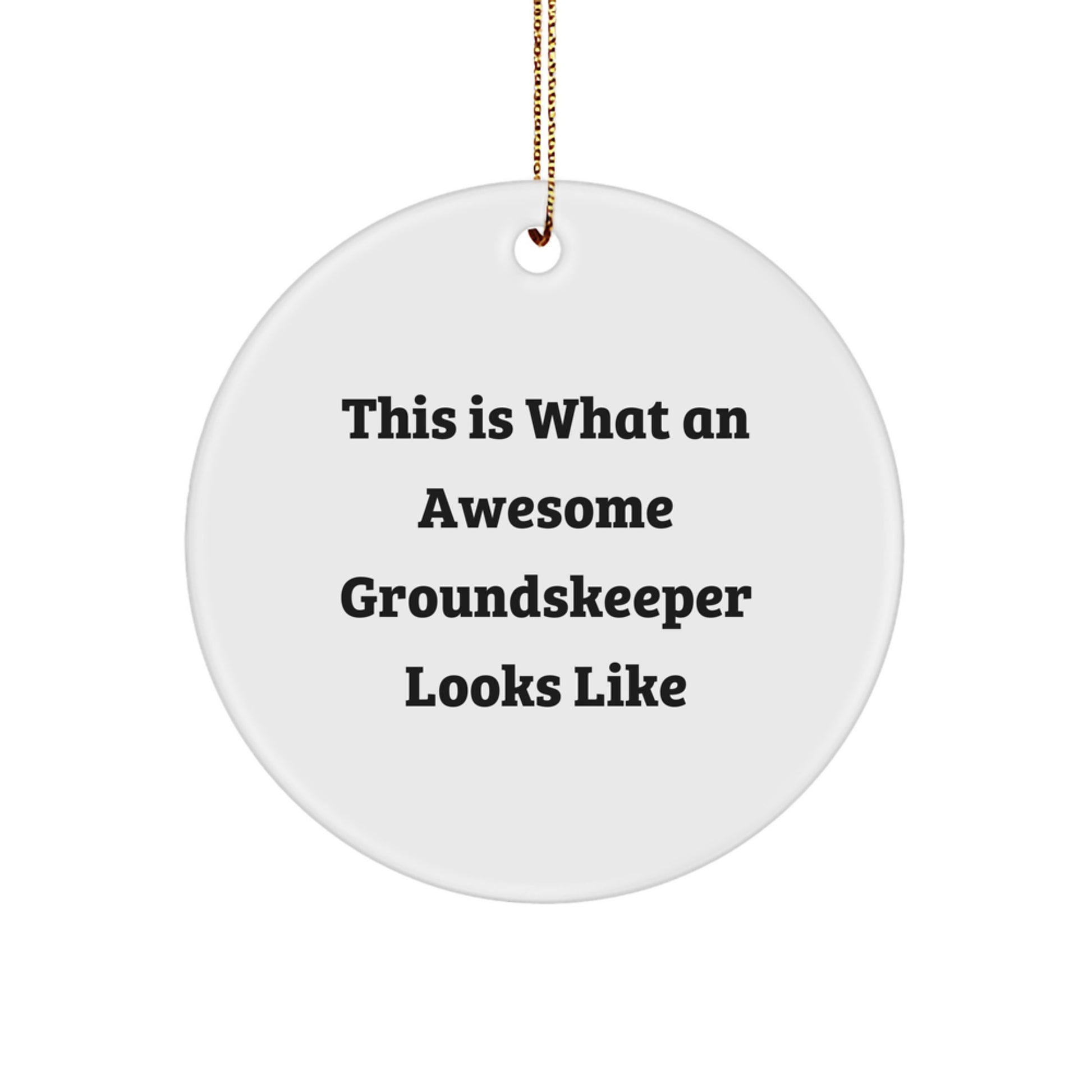 Funny groundskeeper Gifts from Family, Christmas Unique Circle Ornament, This Is What An Awesome groundskeeper Looks Like - Image 1