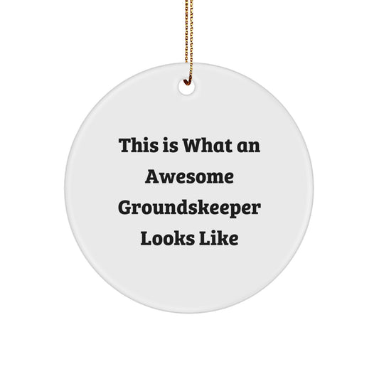 Funny groundskeeper Gifts from Family, Christmas Unique Circle Ornament, This Is What An Awesome groundskeeper Looks Like - Image 1