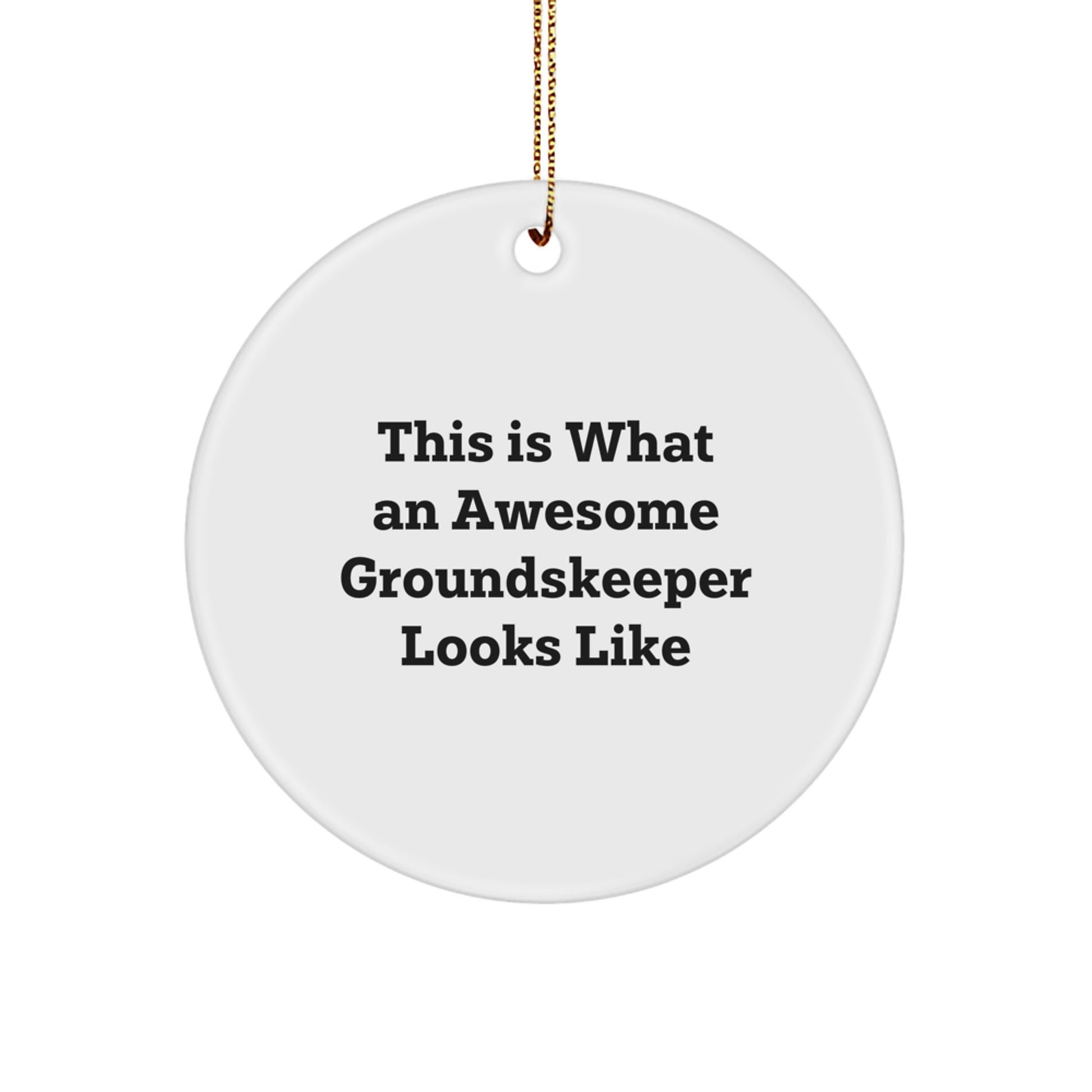 Funny groundskeeper Gifts for Men, Christmas Unique Circle Ornament with 'This Is What An Awesome groundskeeper Looks Like' Quote - Image 1