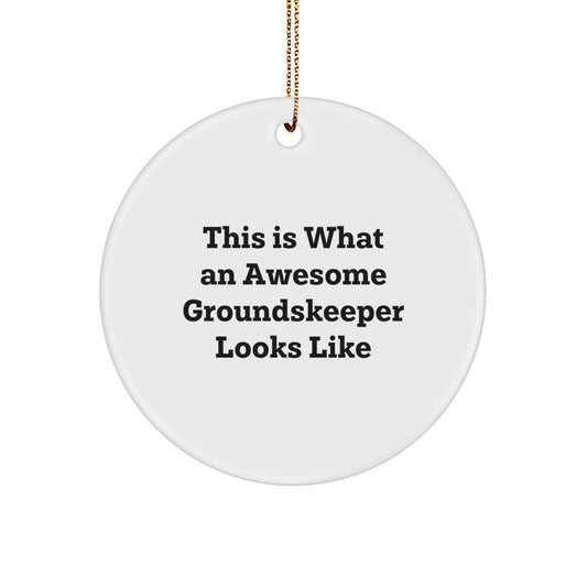 Funny groundskeeper Gifts for Men, Christmas Unique Circle Ornament with 'This Is What An Awesome groundskeeper Looks Like' Quote - Image 1