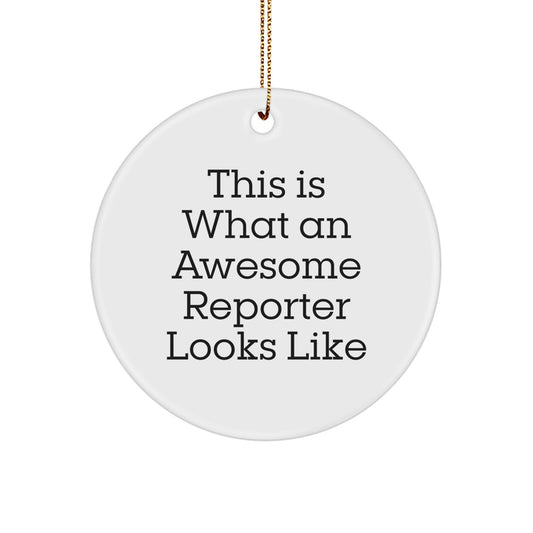 Funny Reporter Gifts This Is What An Awesome Reporter Looks Like Circle Ornament for Friends, Coworkers, Family, and More - Gifts from Men, Women, and Kids - Image 1
