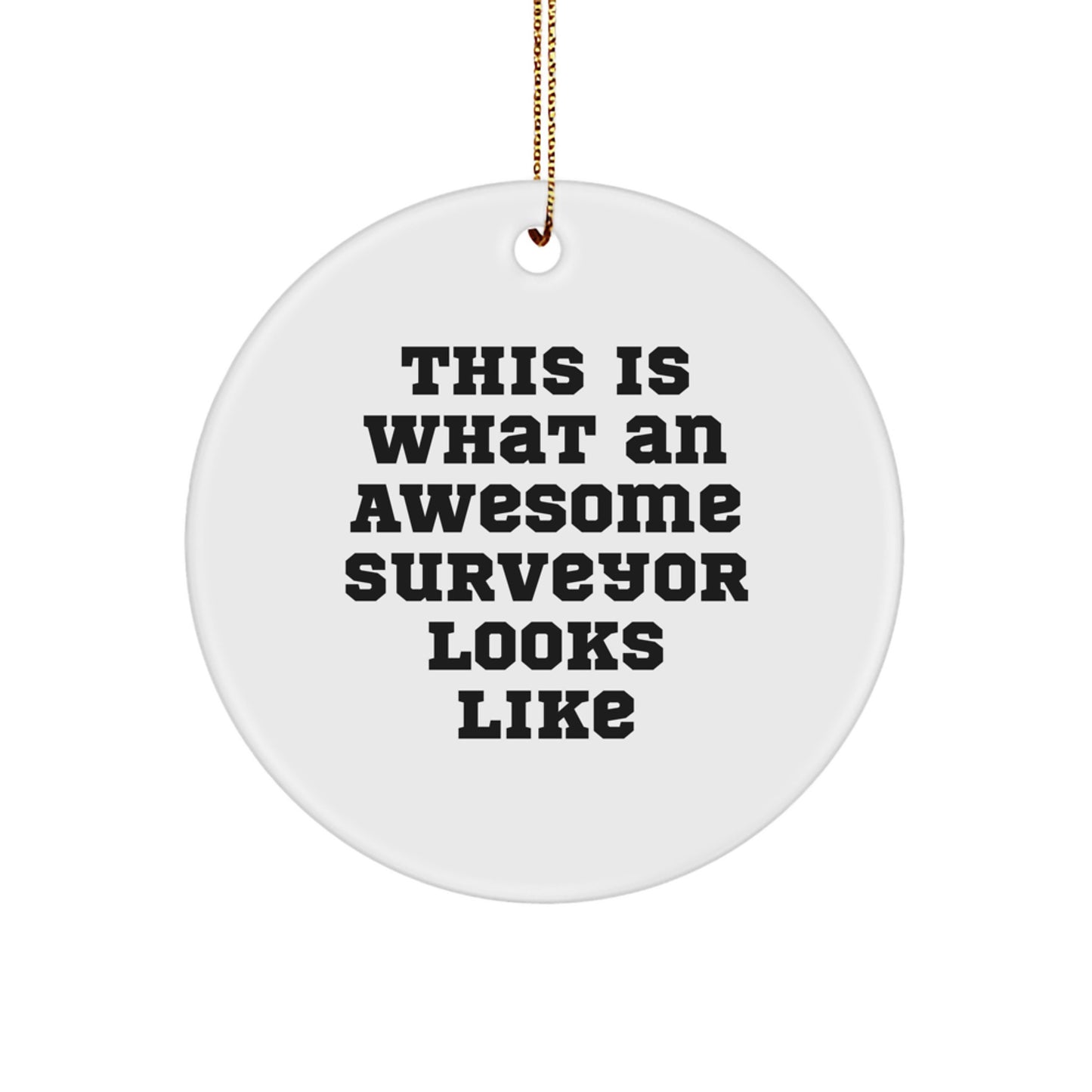 Funny Surveyor Gifts from Friends for Men - Christmas Circle Ornament with 'This Is What An Awesome Surveyor Looks Like' Quote - Image 1