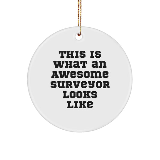 Funny Surveyor Gifts from Friends for Men - Christmas Circle Ornament with 'This Is What An Awesome Surveyor Looks Like' Quote - Image 1