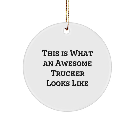 Funny Truckers Gifts for Him, Trucker Circle Ornament with 'This Is What An Awesome Trucker Looks Like', Christmas Unique Presents from Friends - Image 1