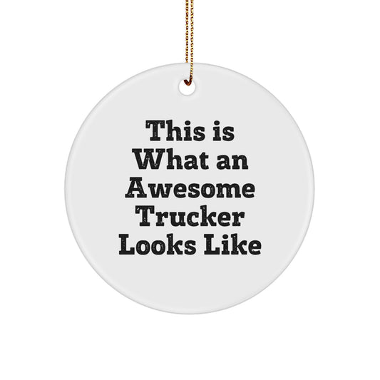Funny Trucker Christmas Unique Gifts for Men - This Is What An Awesome Trucker Looks Like Circle Ornament, Gifts from Friends - Image 1