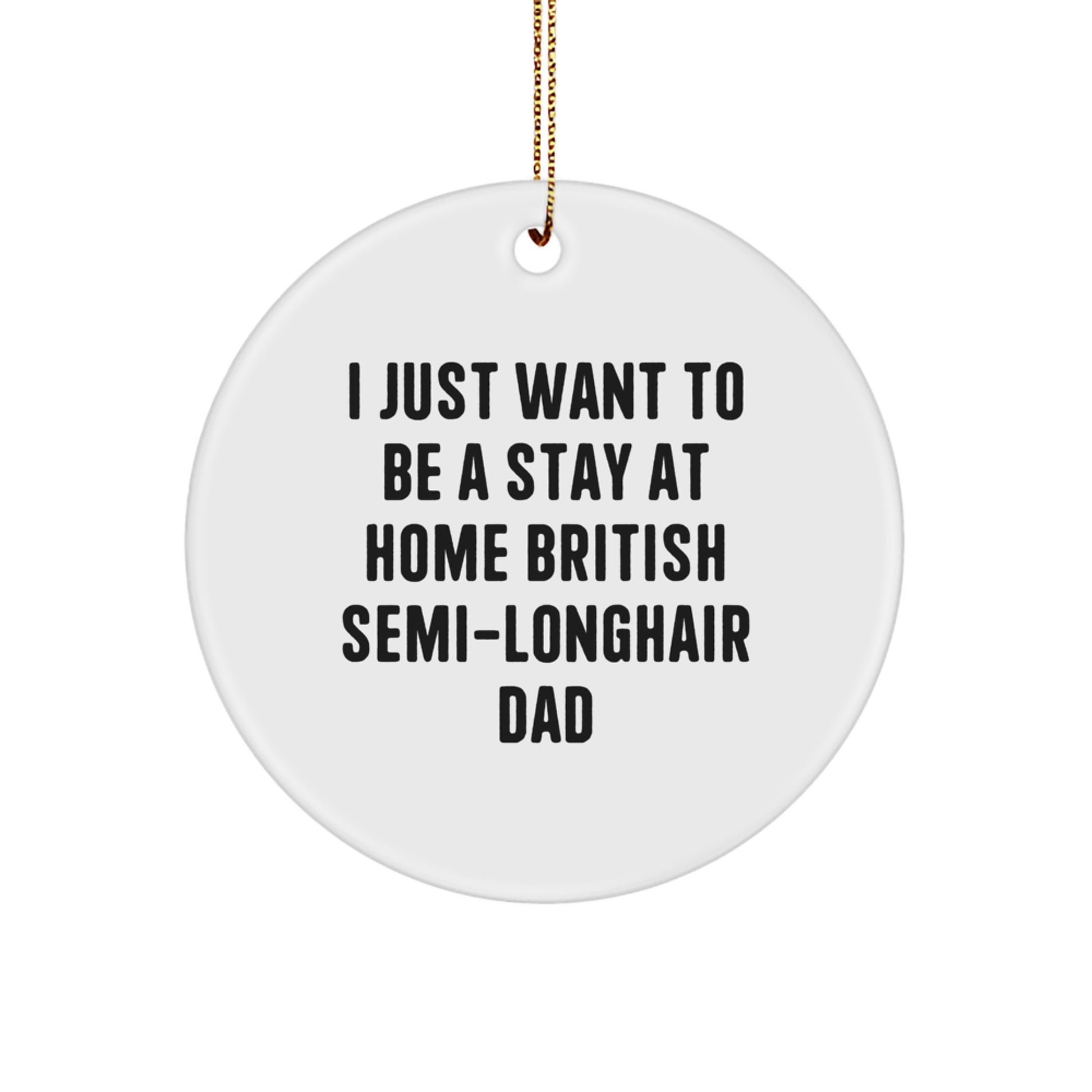 Funny British Semi-Longhair Cat Circle Ornaments Gifts from Men to Family for Christmas Unique - Image 1