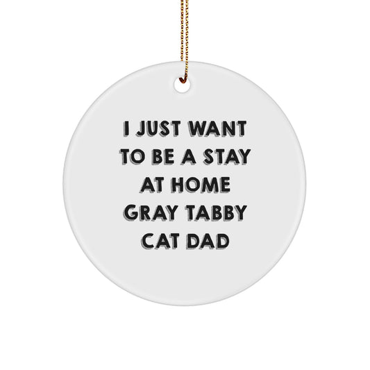 Funny Gray Tabby Cat Lover Gifts for Men, I Just Want To Be A Stay At Home Dad, Christmas Ornaments for Home Decor - Image 1