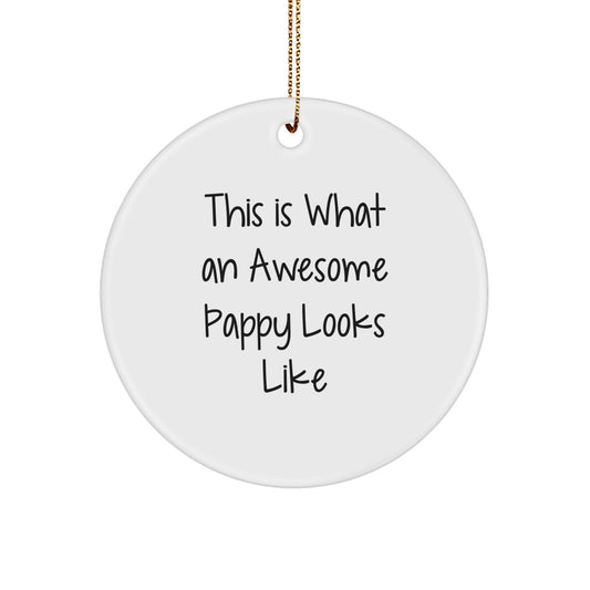 Funny Pappy Gifts for Men Christmas Unique Circle Ornament, Pappy Circle Ornament Gift for Him from Friends, This Is What An Awesome Pappy Looks Like - Image 1