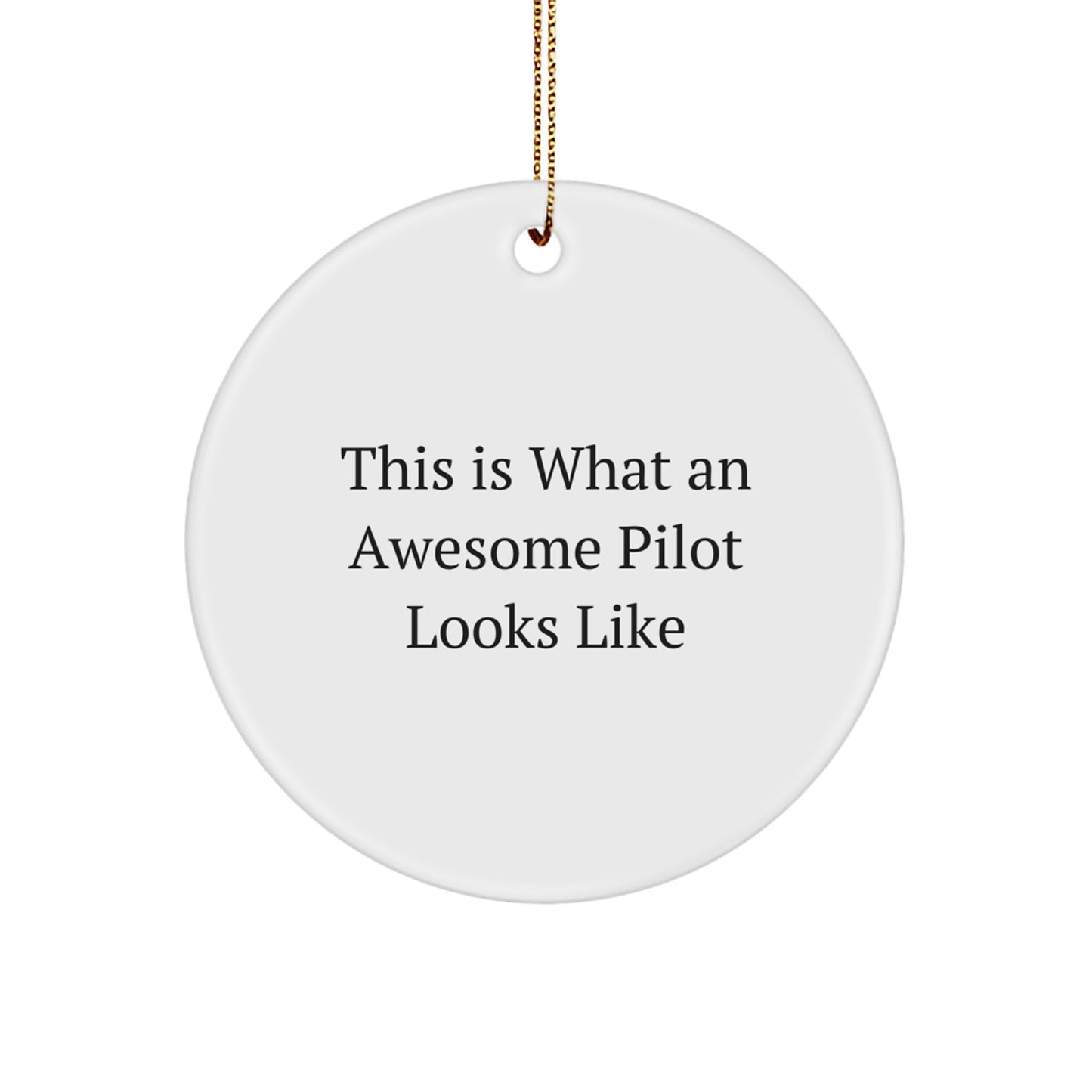 Funny Pilot Gifts from Friends - This Is What An Awesome Pilot Looks Like Circle Ornament for Christmas - Image 1
