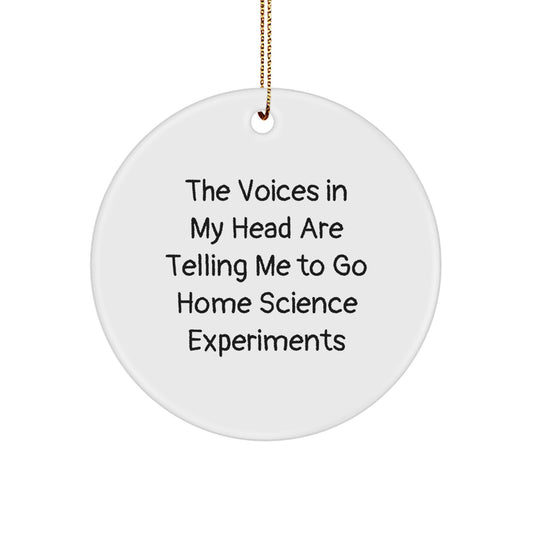 Funny Home Science Experiments Circle Ornament Gifts from Friends and Family for Christmas - Image 1