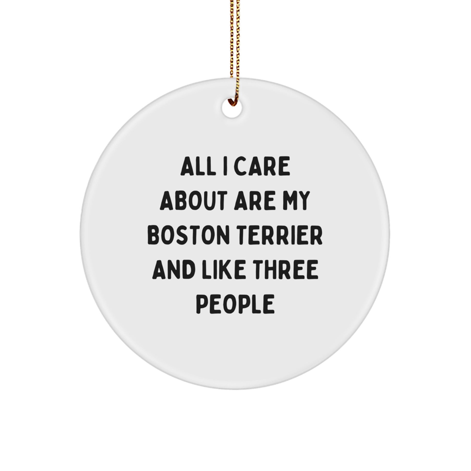 Boston Terrier Dog Lover's Christmas Unique Gift, 'All I Care About Are My Boston Terrier And Like Three People', Circle Ornament, Gifts from Friends and Family - Image 1
