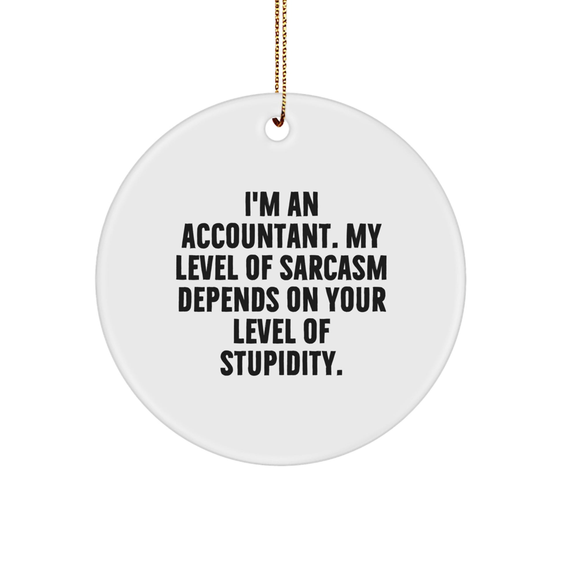 Funny Accountant Gifts for the Holiday Season, 'I'm An Accountant. My Level Of Sarcasm Depends On Your Level Of Stupidity', Circle Ornament from Friends, Family, or Coworkers - Image 1