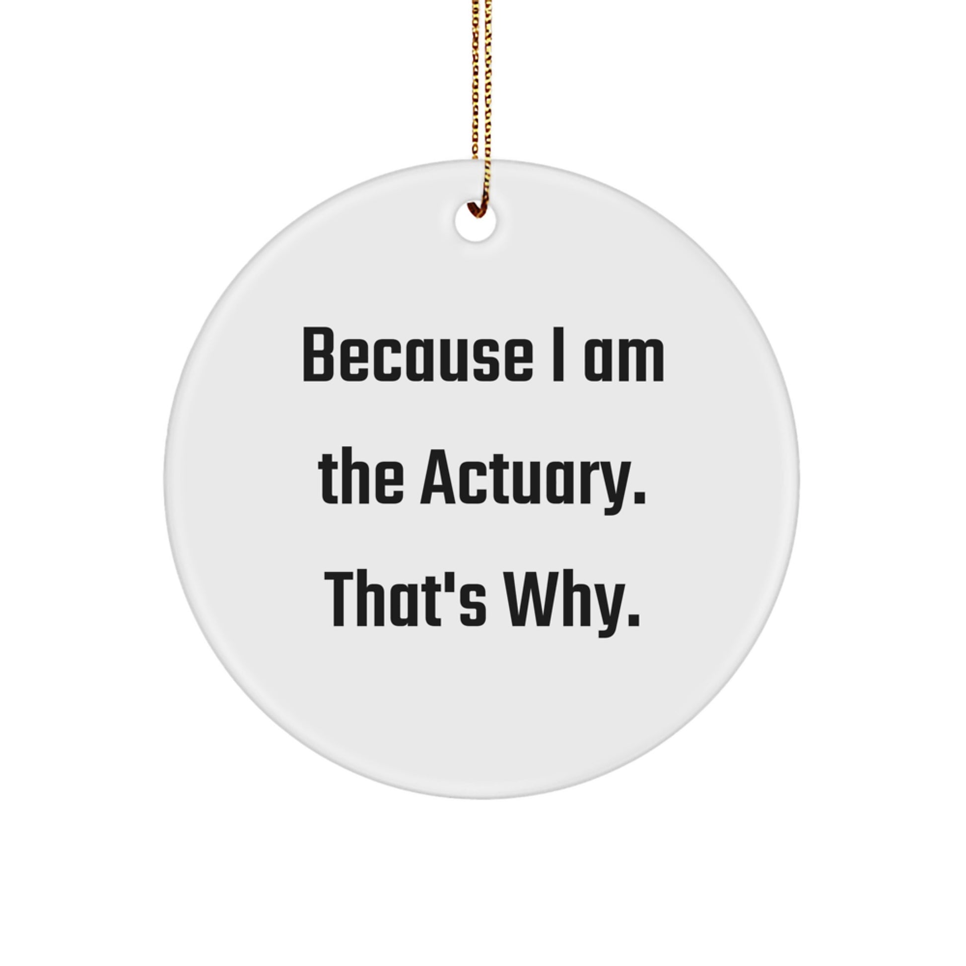 Funny Actuary Gifts, Christmas Unique Ornaments for Actuary Friends, Circle Ornament for Actuary Coworkers, Actuary Quote Decor - Image 1