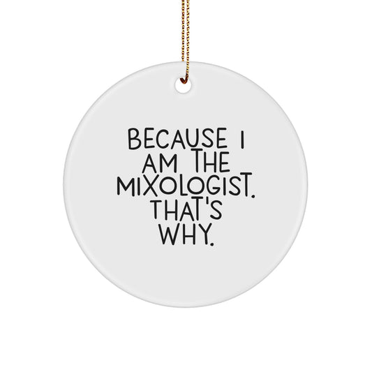 Funny Mixologist Circle Ornament Gifts from Friends and Family for Men and Women, Because I Am The Mixologist That's Why. Christmas Unique Decorations - Image 1