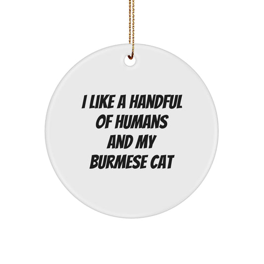 Funny Burmese Cat Gifts, Gifts from Men to Family, Christmas Unique Ornaments for Burmese Cat Lovers - Image 1