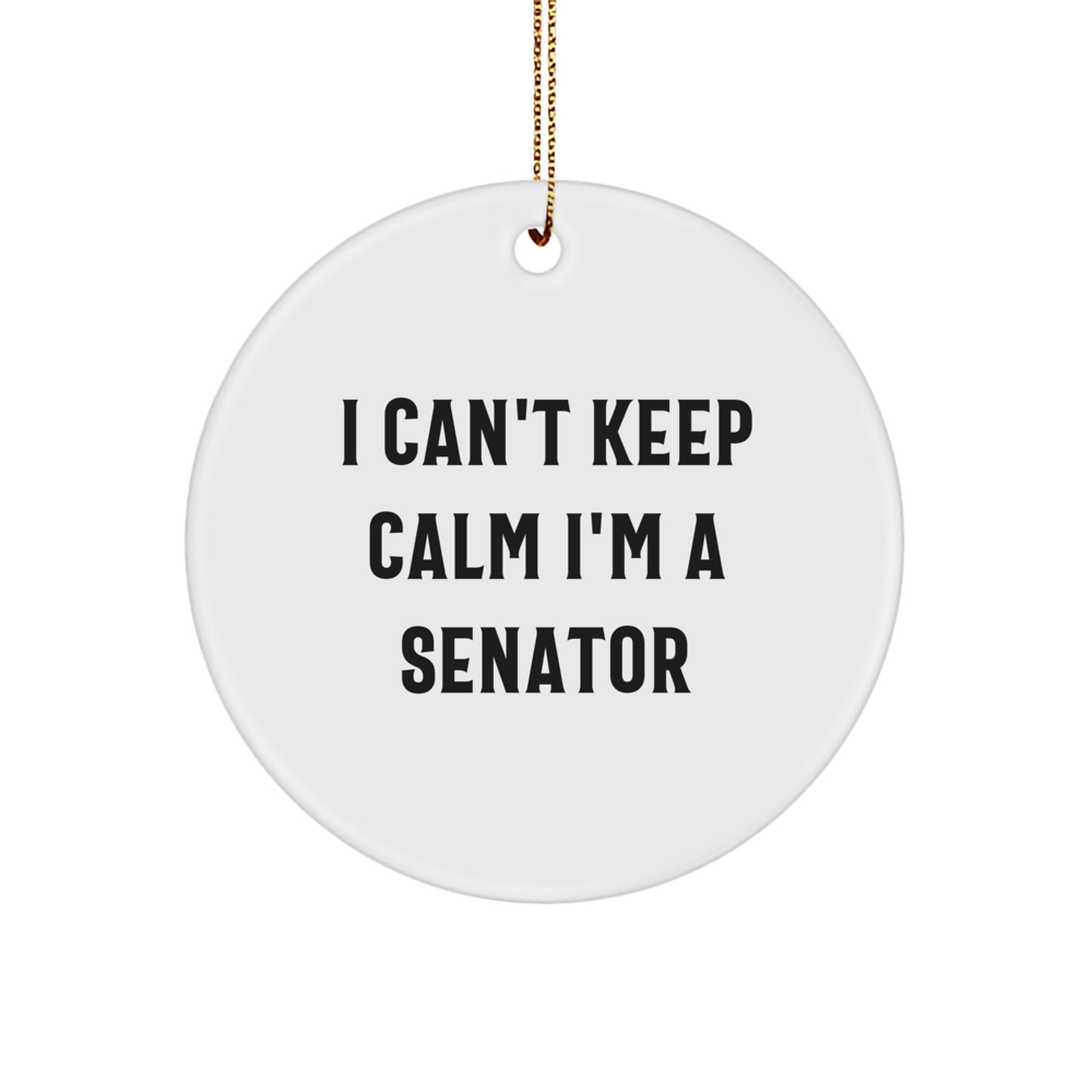 Funny Senator Gifts from Friends, I Can't Keep Calm I'm A Senator Circle Ornament for Men, Women, or Coworkers, Unique Christmas Unique Gifts - Image 1