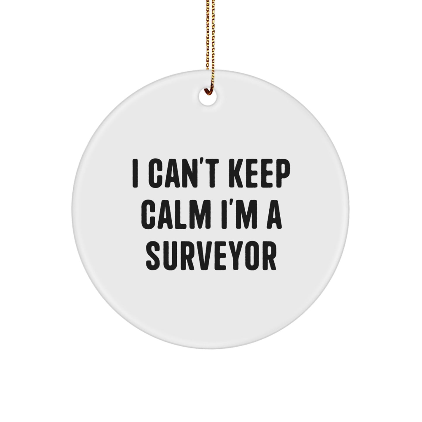 Funny Surveyor Gifts for Men - 'I Can't Keep Calm I'm A Surveyor' Christmas Unique Ornaments for Surveyor Friends - Image 1
