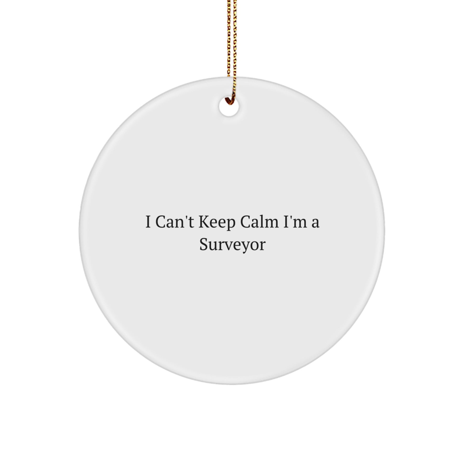 Funny Surveyor Circle Ornament Gifts for Men Women Friends Family 'I Can't Keep Calm I'm A Surveyor' Unique Christmas Memorable Presents - Image 1
