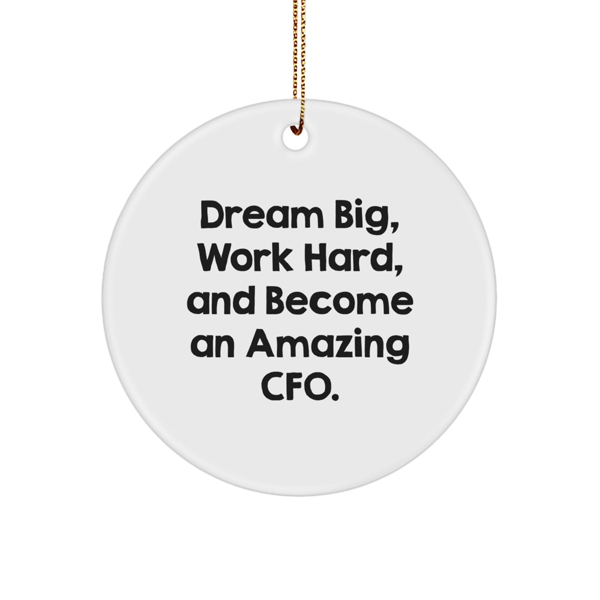 Funny CFO Gifts for Men Women Friends Coworkers Family - Dream Big Work Hard And Become An Amazing CFO Circle Ornament Christmas Unique Gifts - Image 1