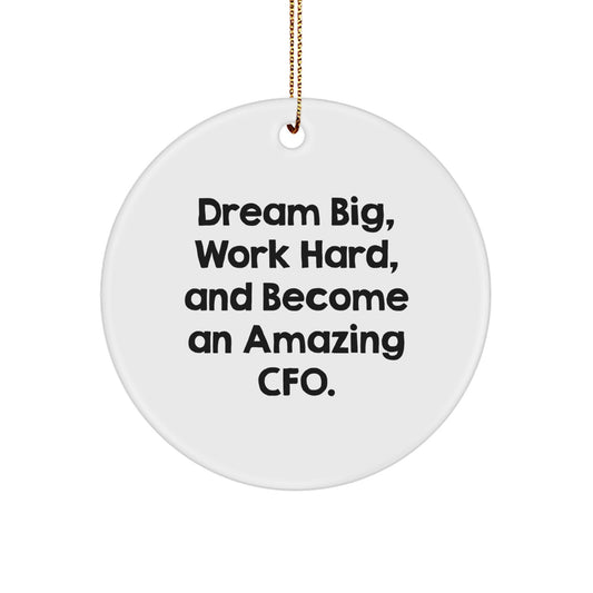 Funny CFO Gifts for Men Women Friends Coworkers Family - Dream Big Work Hard And Become An Amazing CFO Circle Ornament Christmas Unique Gifts - Image 1