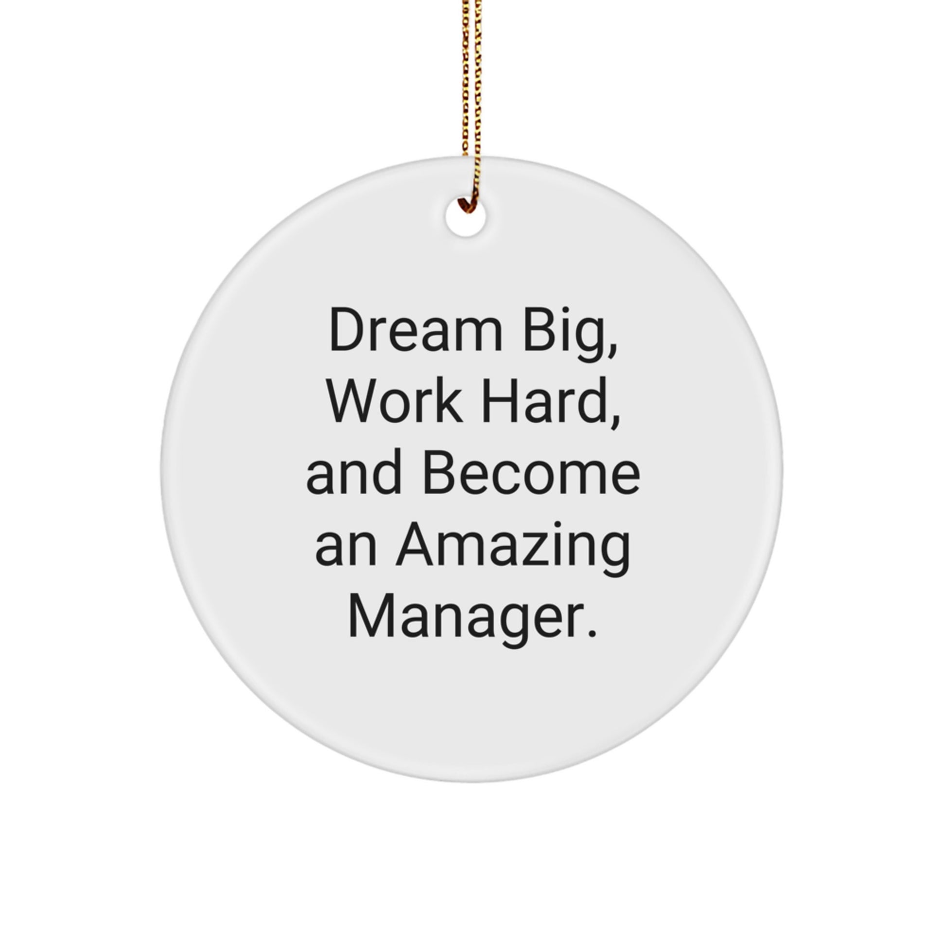 Funny 'Dream Big' Inspirational Manager Gifts from Friends Unique Christmas Circle Ornament for Office Decor - Image 1