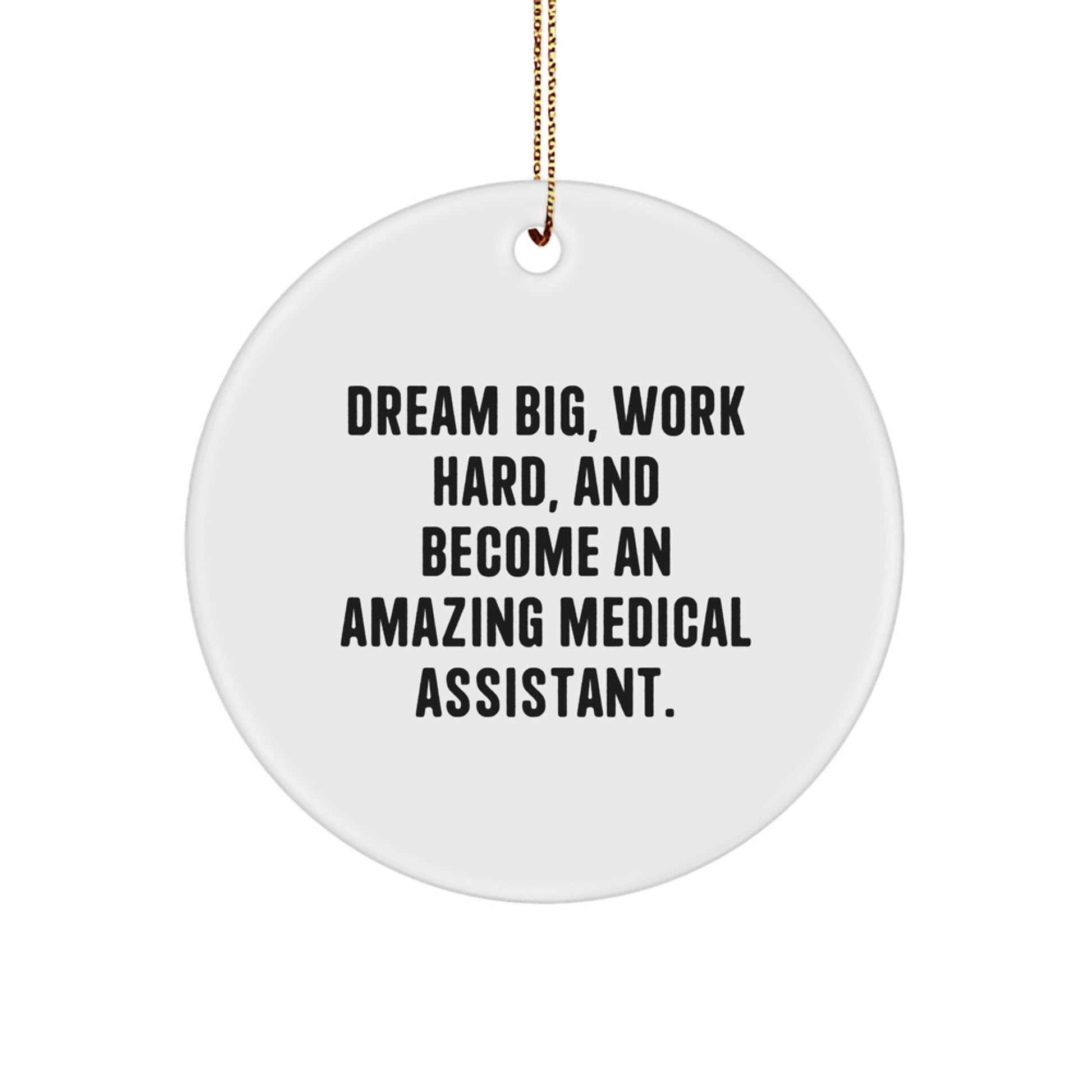 Medical Assistant Inspiration Gifts from Friends or Family - Dream Big, Work Hard Circle Ornament for Christmas Unique Decorations - Image 1