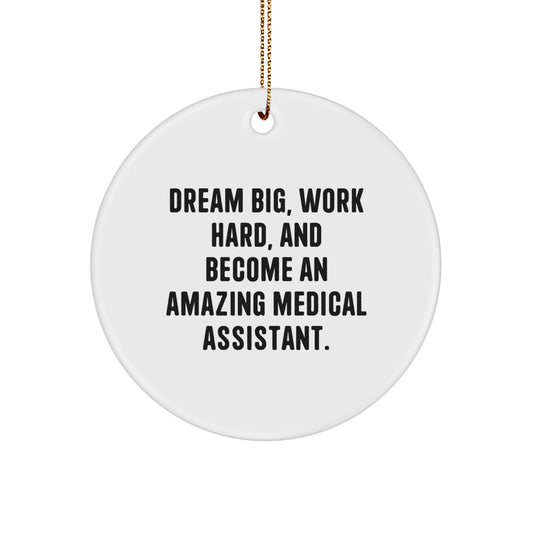 Medical Assistant Inspiration Gifts from Friends or Family - Dream Big, Work Hard Circle Ornament for Christmas Unique Decorations - Image 1