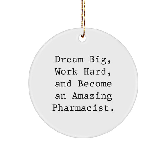 Pharmacist Gifts from Friends - Dream Big, Work Hard, Amazing Pharmacist Christmas Circle Ornament, Inspirational Quote - Image 1