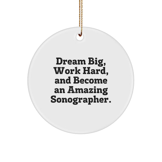 Sonographer Gifts from Family and Friends for Christmas Unique Inspirational Circle Ornament, 'Dream Big, Work Hard, And Become An Amazing Sonographer.' - Image 1